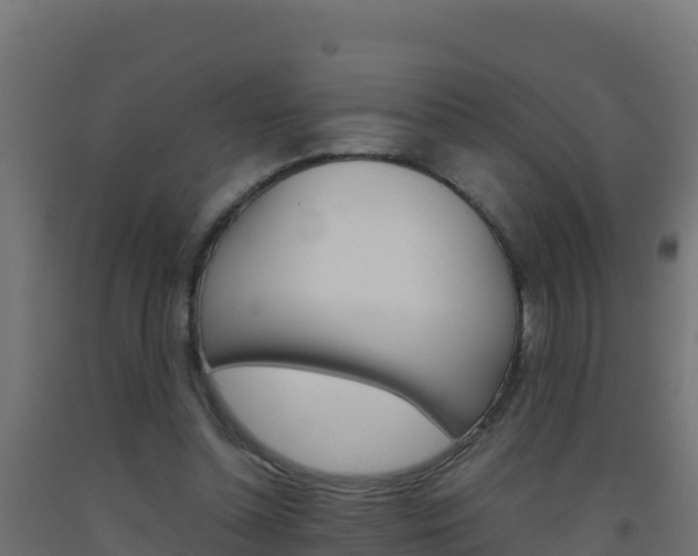 X0000093510348200710121108