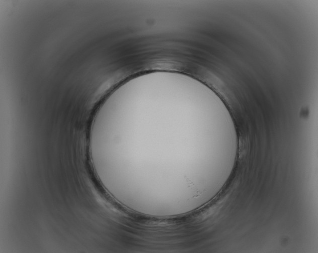 X0000093510349200710121108