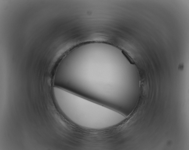 X0000093510350200710121108