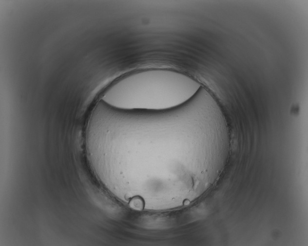 X0000093510351200710121108