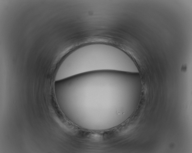 X0000093510352200710121108