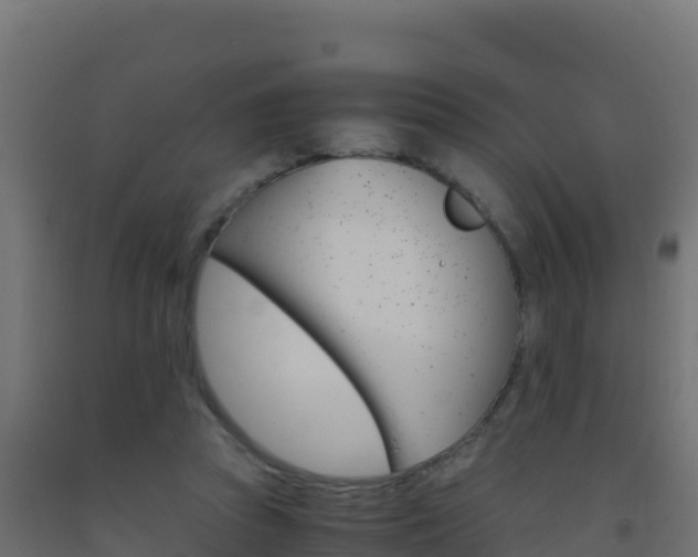 X0000093510353200710121108