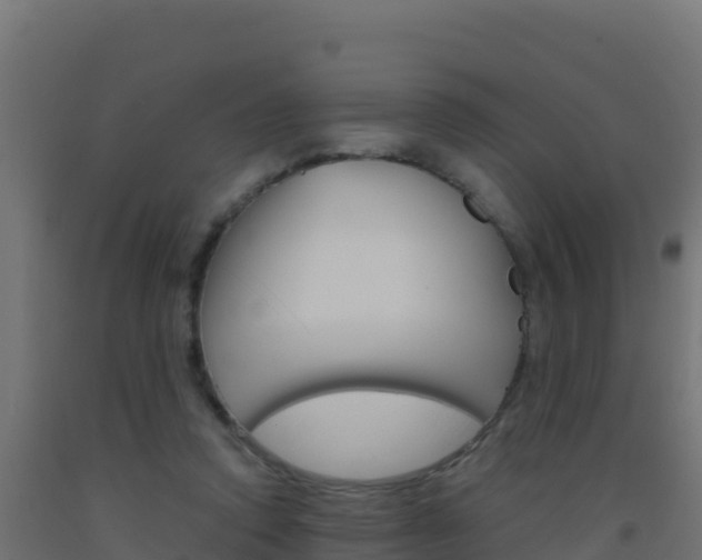 X0000093510354200710121108