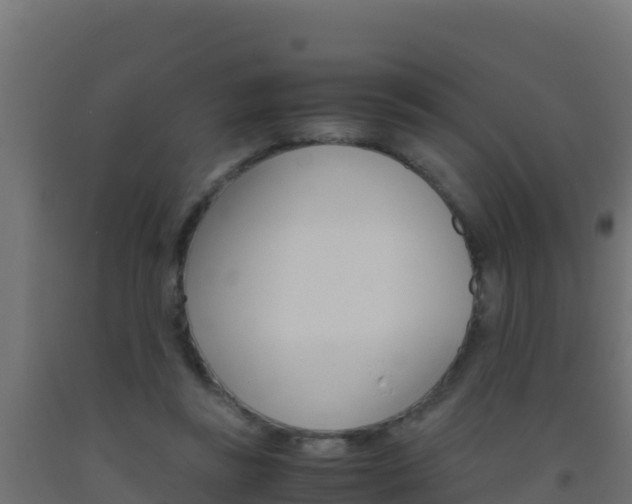 X0000093510355200710121108
