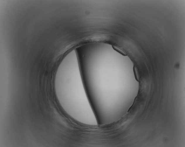 X0000093510356200710121108