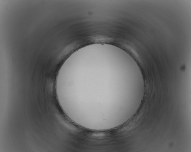 X0000093510357200710121108