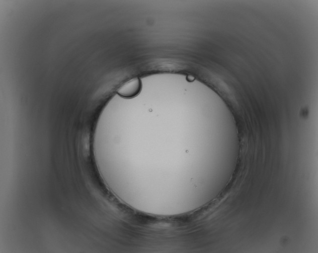 X0000093510358200710121108