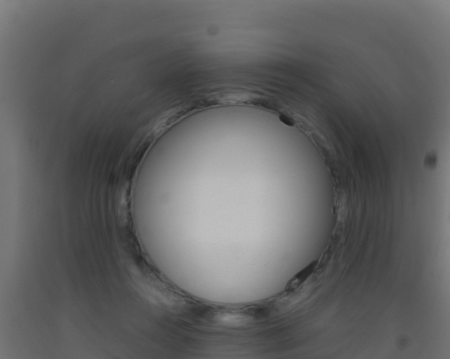 X0000093510360200710121108