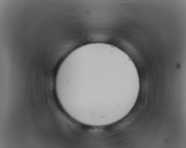 X0000093510362200710121108