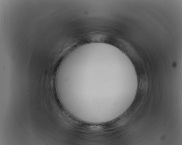 X0000093510363200710121108
