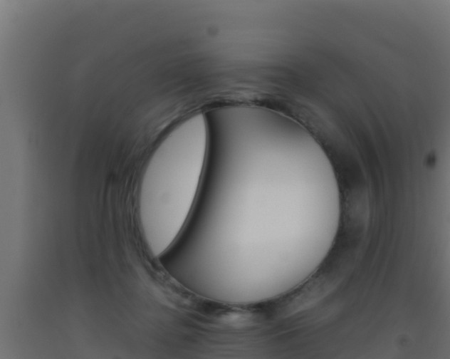X0000093510364200710121108