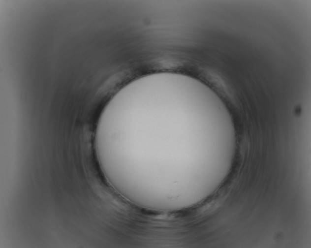 X0000093510366200710121108