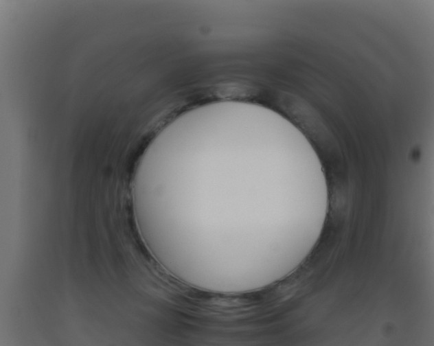 X0000093510367200710121108