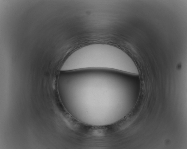 X0000093510368200710121108