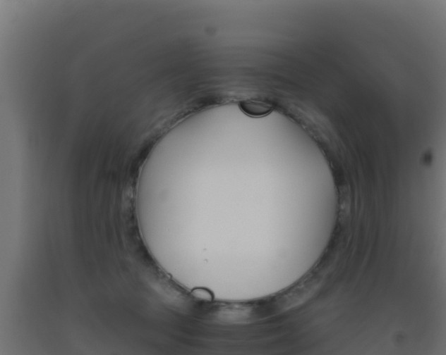 X0000093510369200710121108