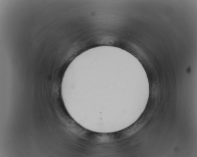 X0000093510370200710121108