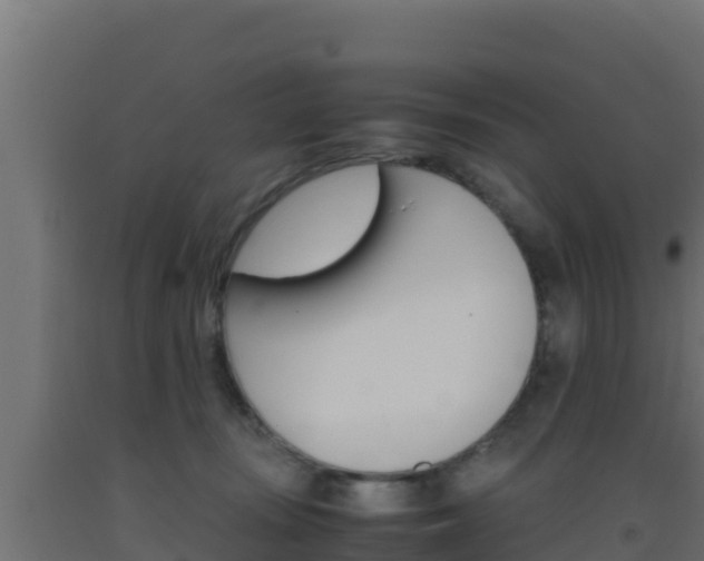 X0000093510371200710121108