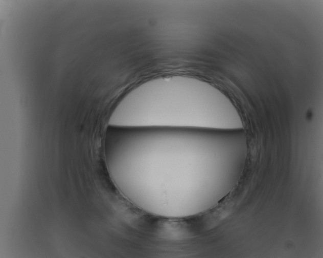 X0000093510372200710121108