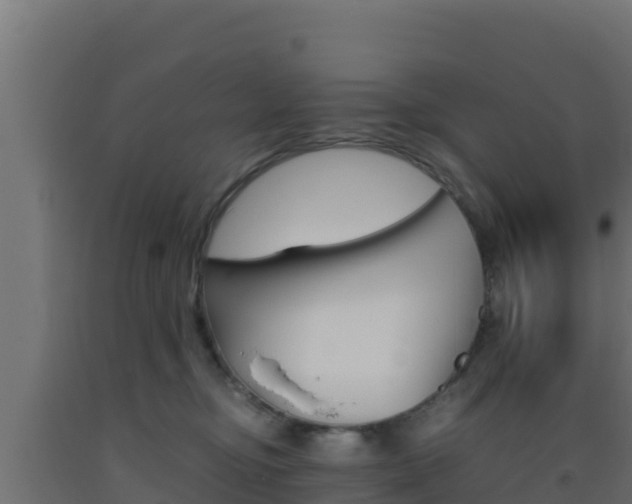 X0000093510374200710121108