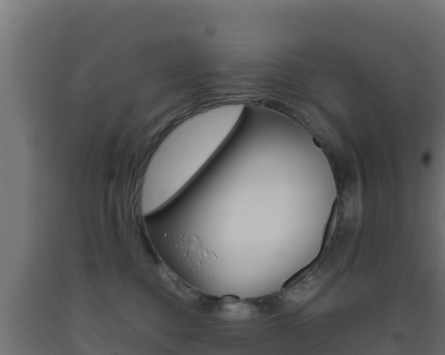 X0000093510376200710121108