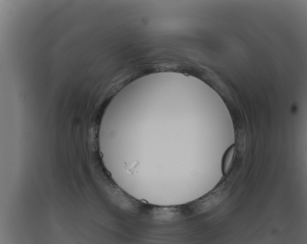 X0000093510378200710121108