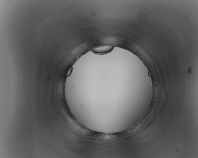 X0000093510379200710121108