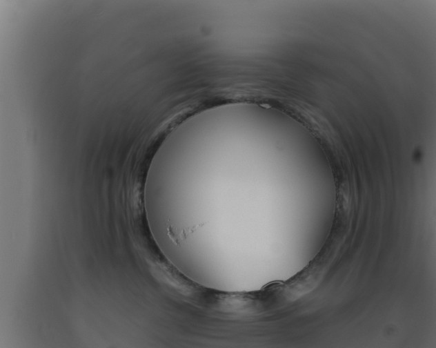 X0000093510380200710121108