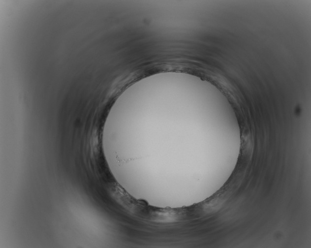 X0000093510381200710121108