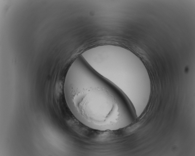 X0000093510382200710121108