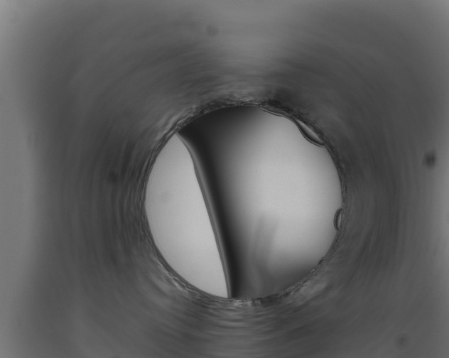 X0000093510384200710121108