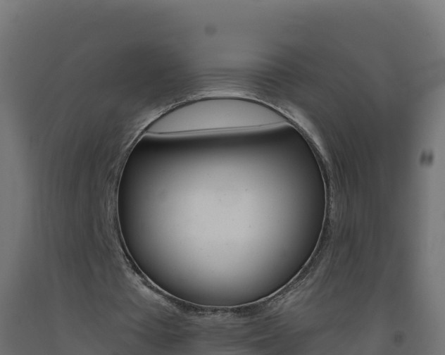 X0000093510385200710121107