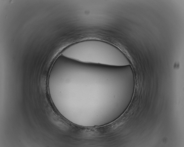 X0000093510386200710121107