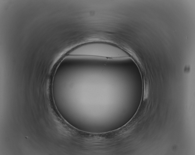 X0000093510387200710121107