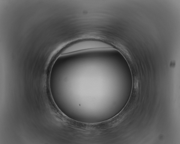 X0000093510388200710121107