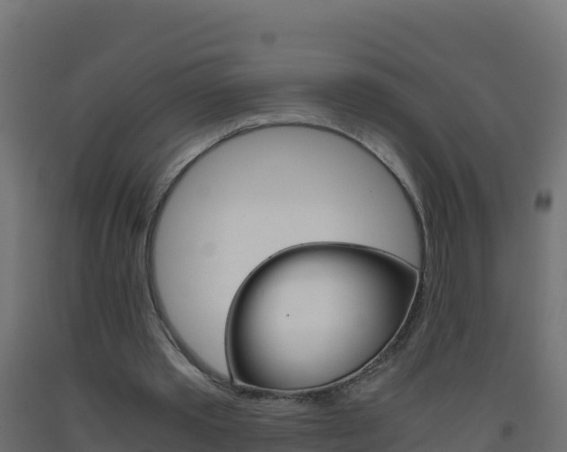 X0000093510389200710121107