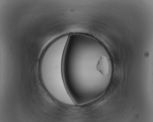 X0000093510391200710121107