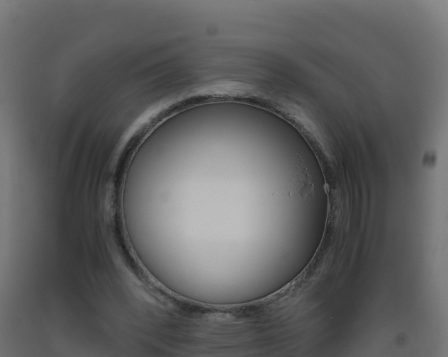 X0000093510392200710121107
