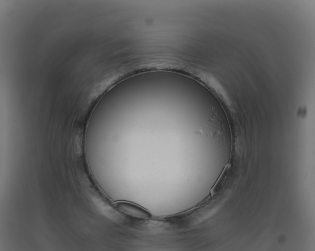 X0000093510393200710121107