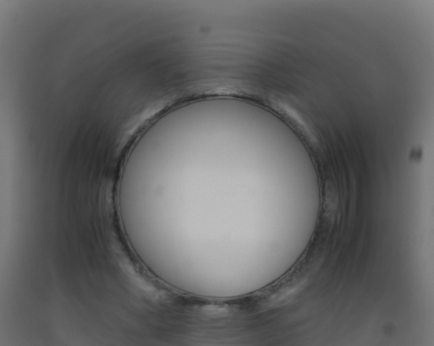 X0000093510394200710121107