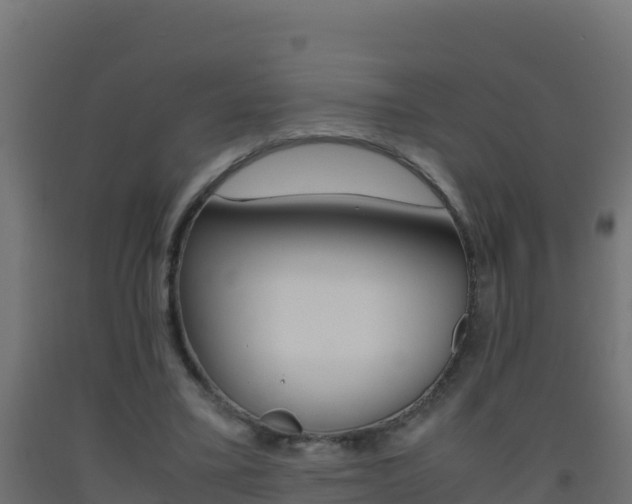 X0000093510395200710121107