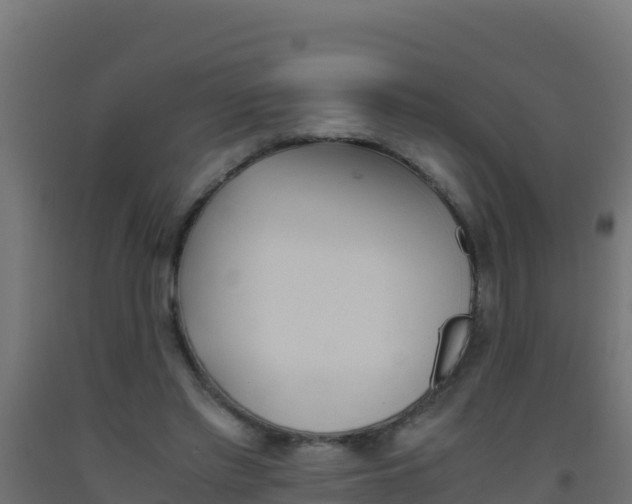 X0000093510397200710121107
