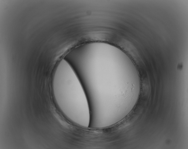X0000093510398200710121107