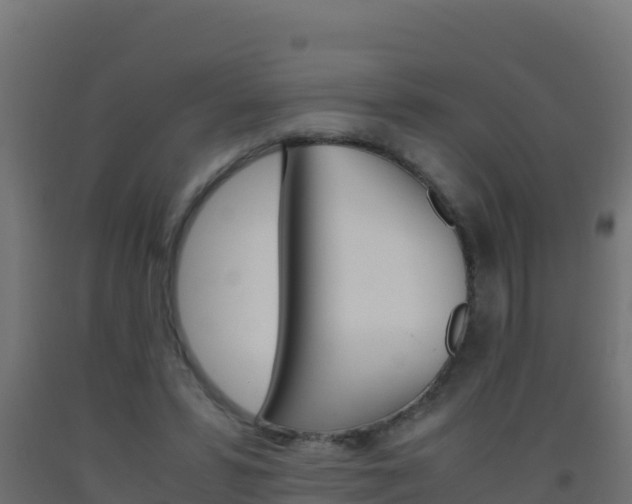 X0000093510399200710121107