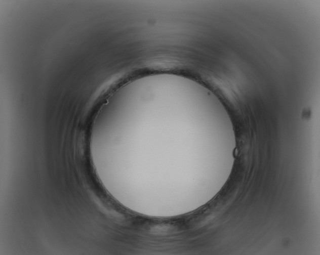 X0000093510400200710121107