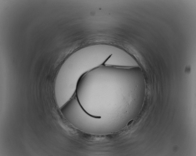 X0000093510401200710121107