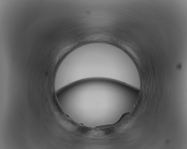X0000093510403200710121107