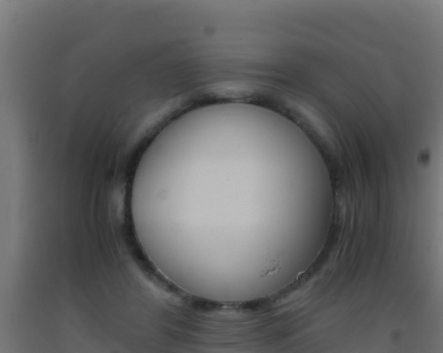 X0000093510404200710121107