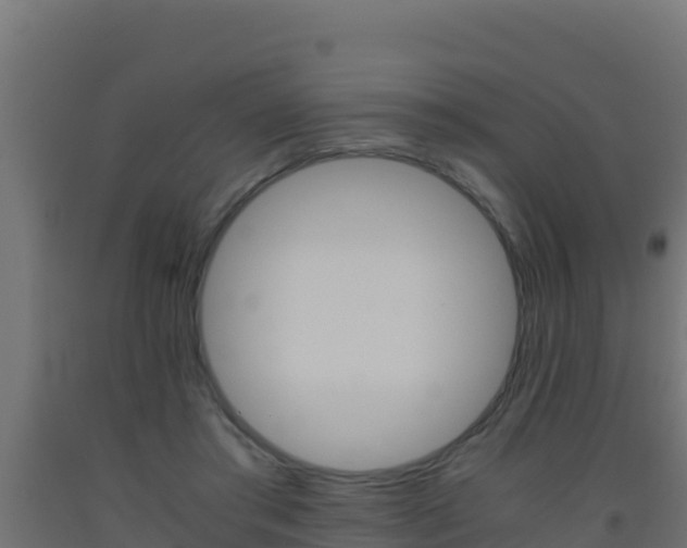 X0000093510405200710121107