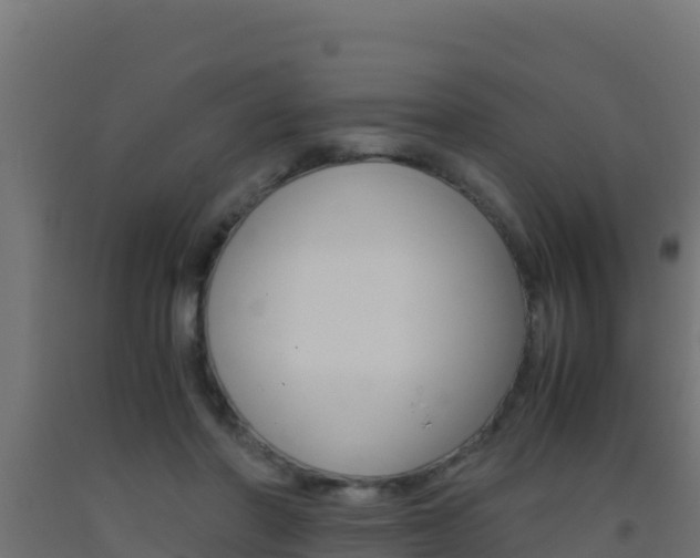 X0000093510406200710121107