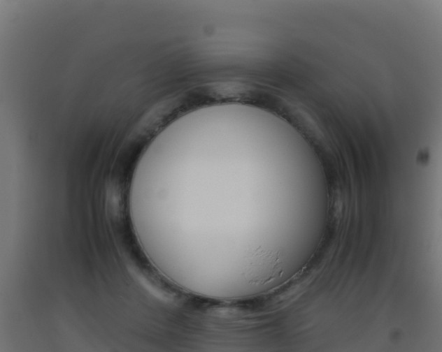 X0000093510408200710121107